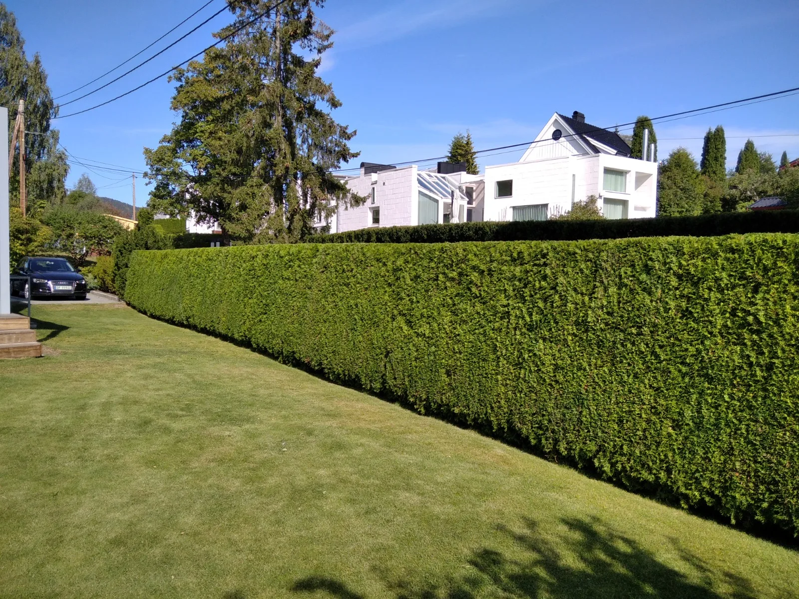 Hvit villa med grønn hekk